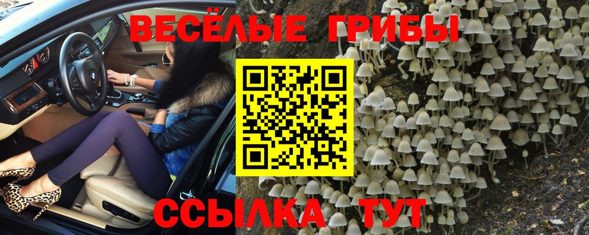 Дмитров  Галлюциногенные грибы ЛСД  Псилоцибиновые грибы мухоморы  Вход с VPN 